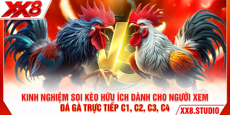 Kinh nghiệm soi kèo hữu ích dành cho người xem đá gà trực tiếp C1 C2 C3 C4